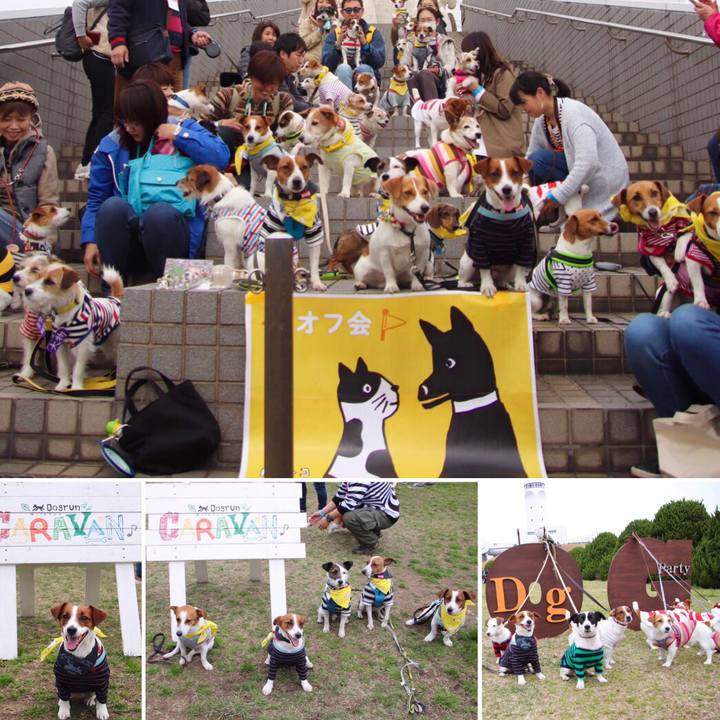 2288b975 8808 4243 bff7 1ade46f838d8 1552227392695