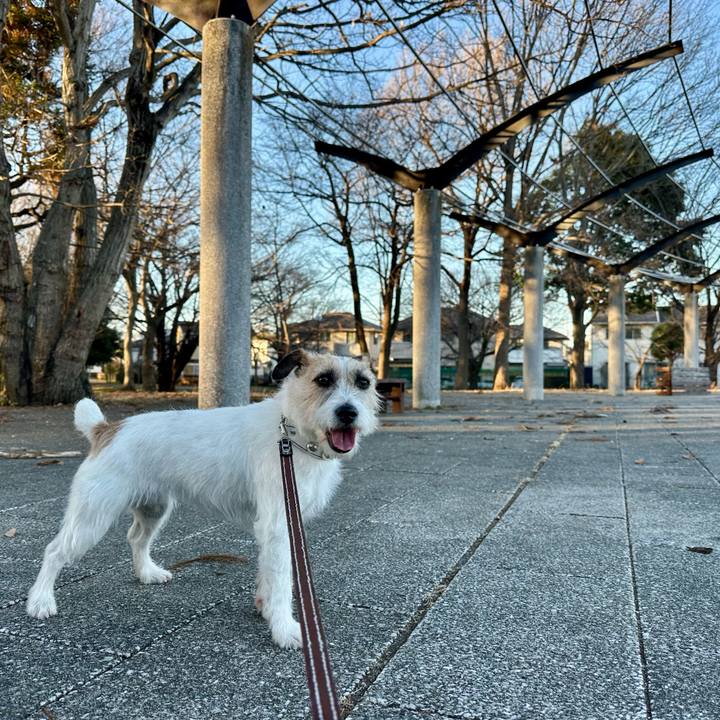 2288c296 c300 4c0a a137 94e0cbfb8f7d 1739113171408