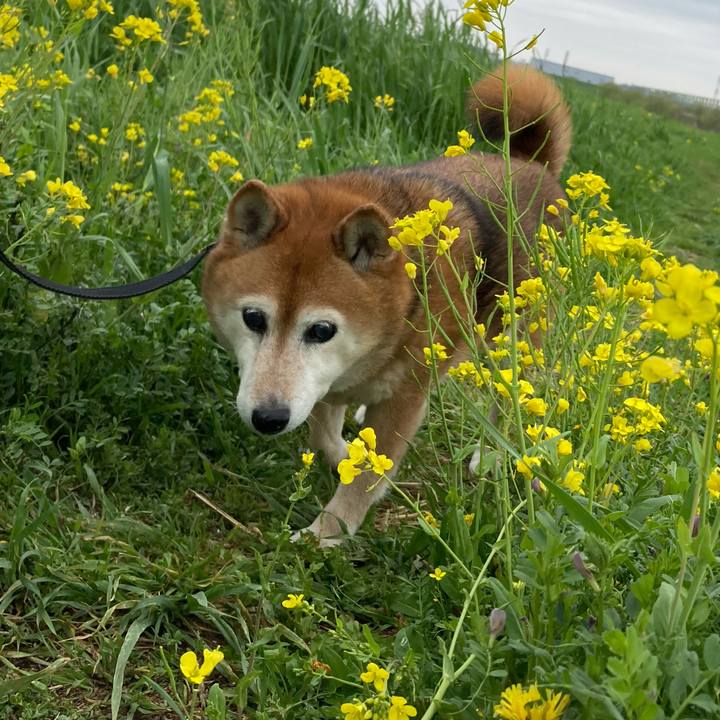 2288c4ed 30a1 4617 a936 7f30fdbdb64d 1712375870458