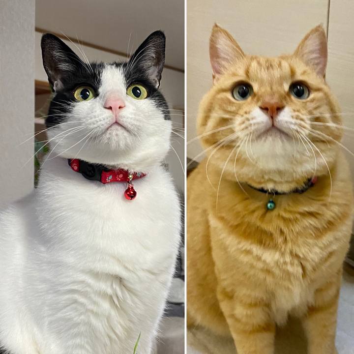 2288c568 f273 4c2c 9546 521c32bdafd1 1640962922357