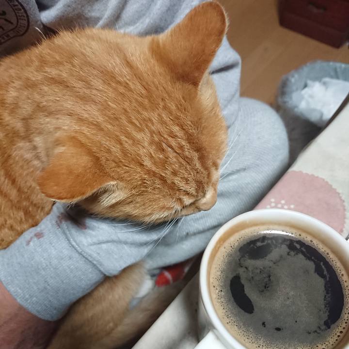 2288d125 e58a 4d6b 829d 23cea13eef4c 1605902310858