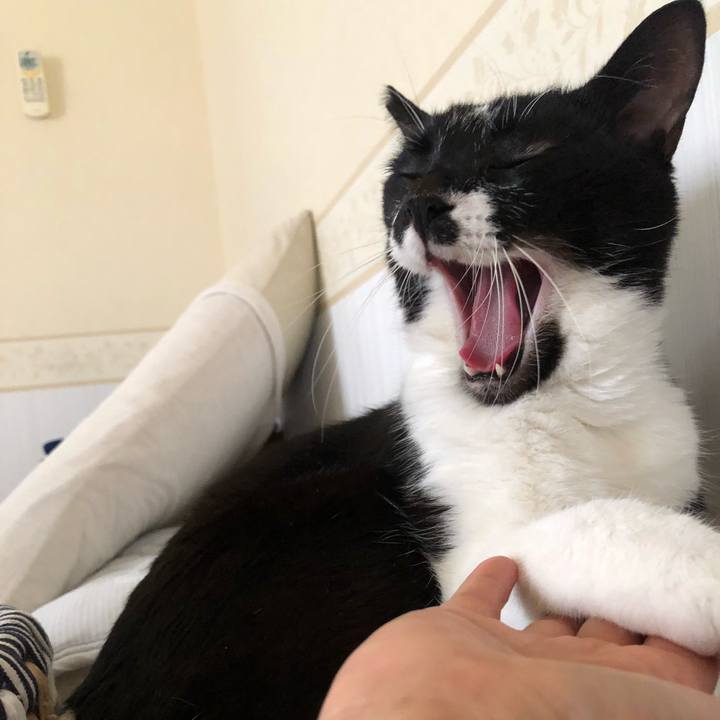 2289080d 30d8 4737 bd6c 87617322e266 1624758777664