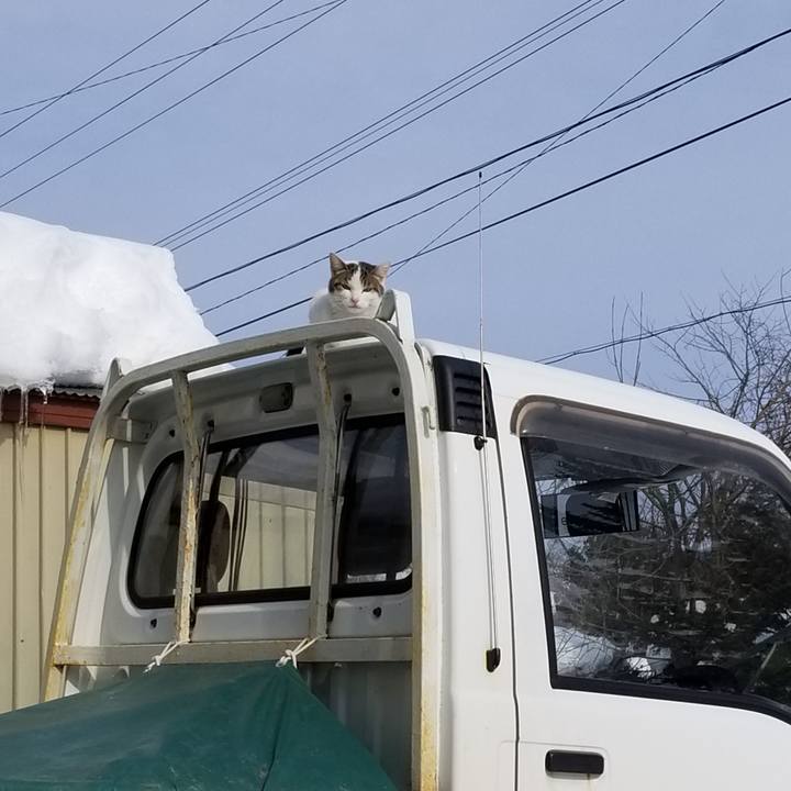 22891063 1a61 480c 94b0 d7076fe787b5 1644724935174