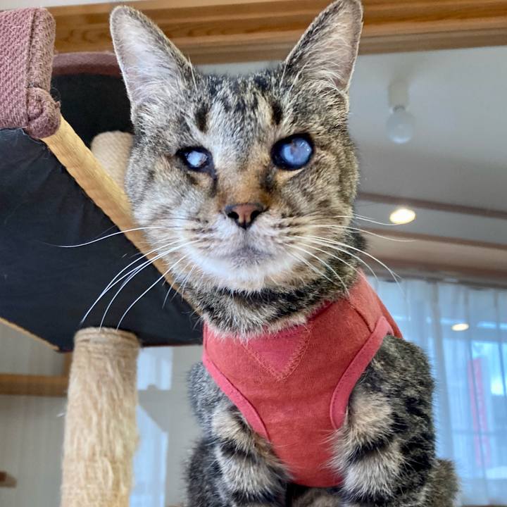 22894b1b 5ec4 4540 8dd5 5d70710e3221 1680840913310