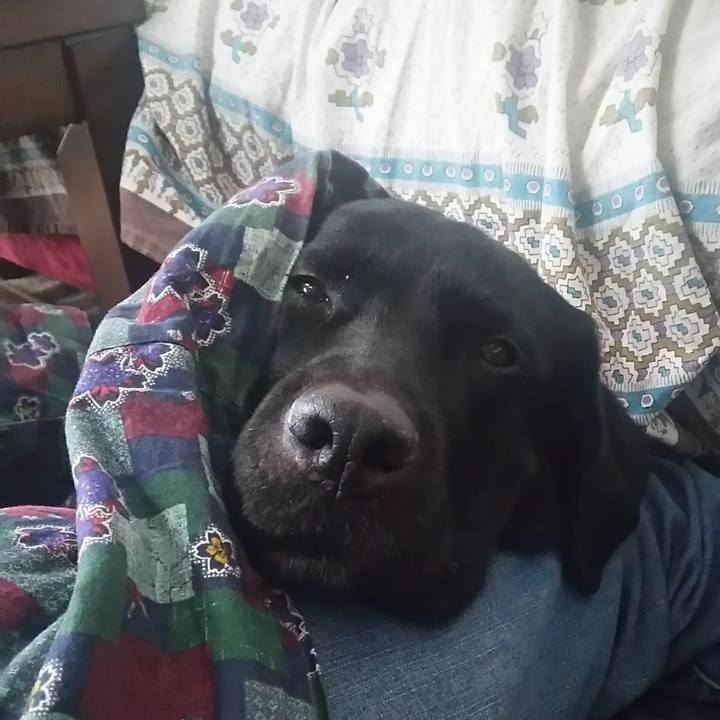 2289ca86 f55e 4e8f 97dd d7f6d9a94e3a 1736314021077