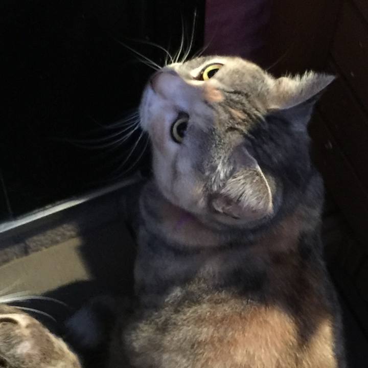 2289e29d f302 440b 8fbe 447ffbf9322b 1555407720122