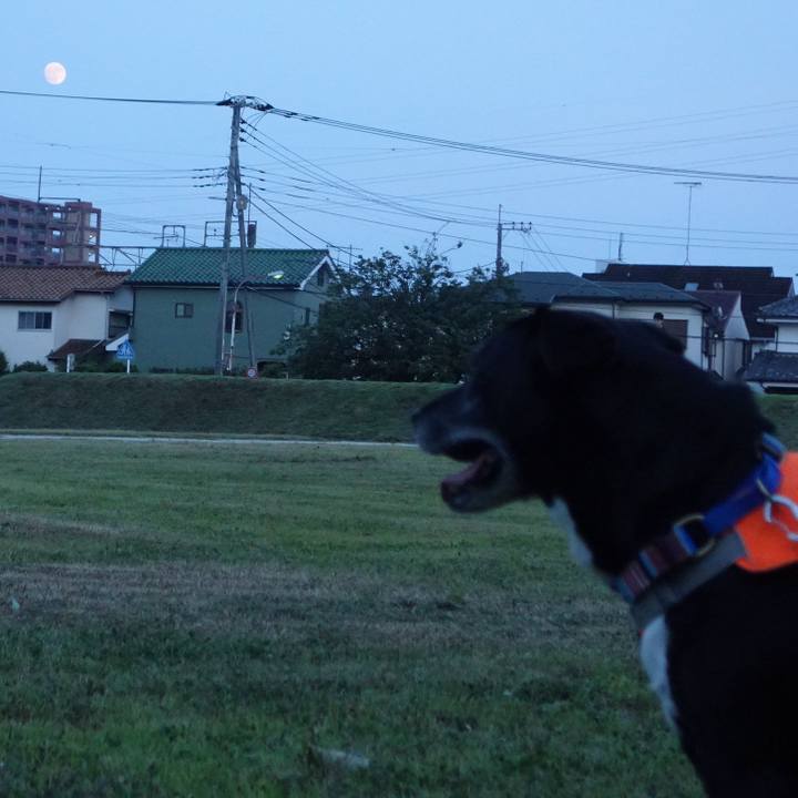 2289f5d3 365e 41bd 9b1d 328b6d2dff02 1752059259759