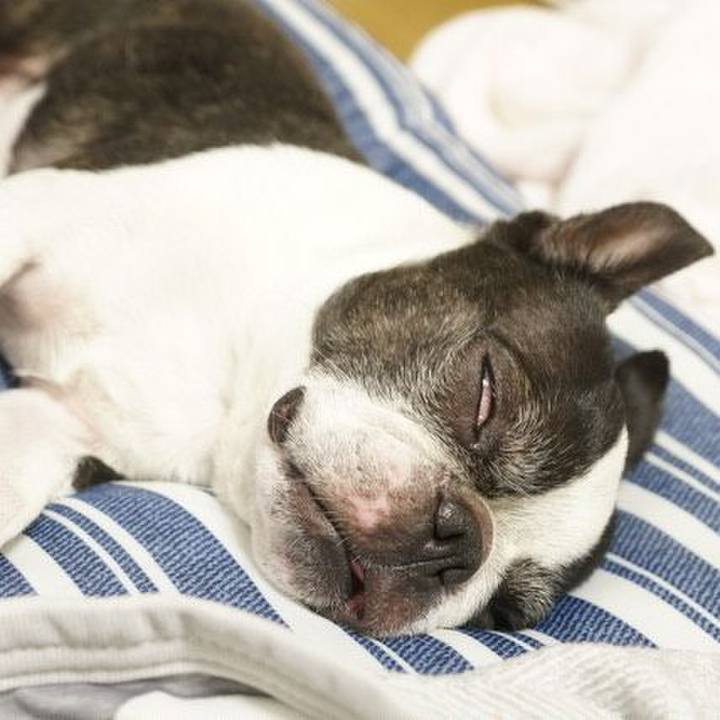 2289f6db ac9b 454a b04f 8245c54007a5 1530280849136