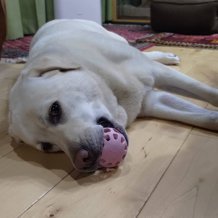 2289f89a 8f4f 4bbb 9d5b 9a1e0a914c14 1655299615505