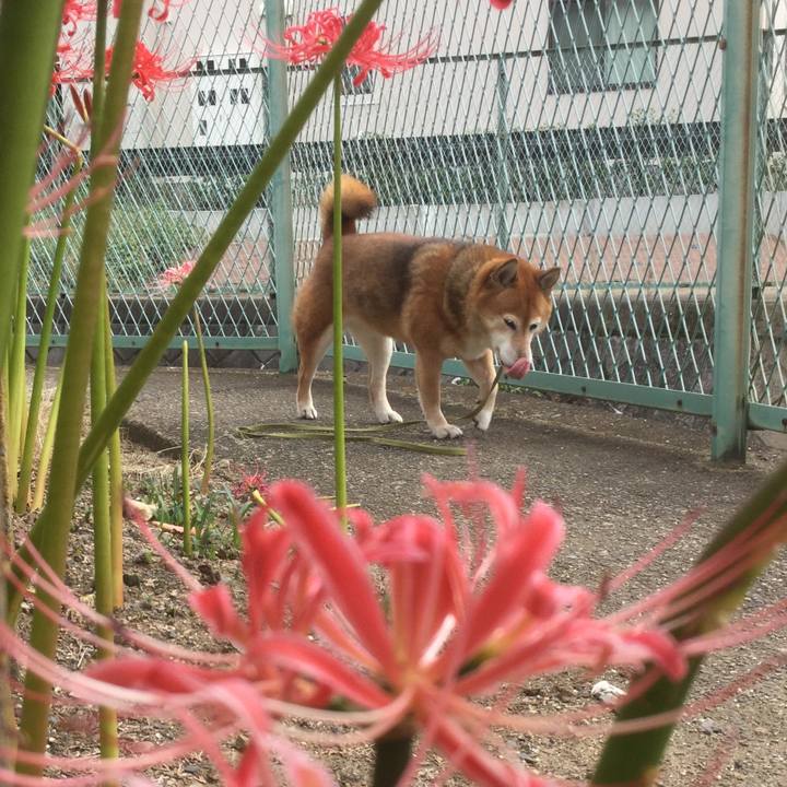 2289fb6f 88b6 4fd5 a99f 6f603640855f 1601786246394