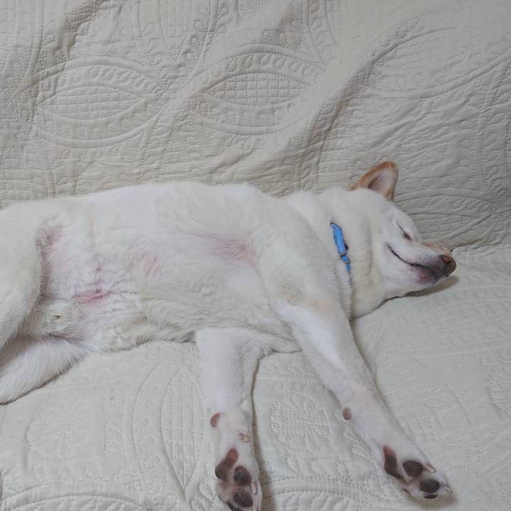 228a0295 4b17 437f 9884 004f0414d34d 1584970807898