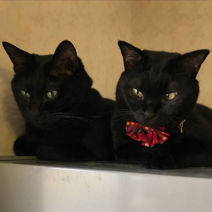 228a0fe7 2d47 49b3 a7c5 6bc96563fb61 1535861438522