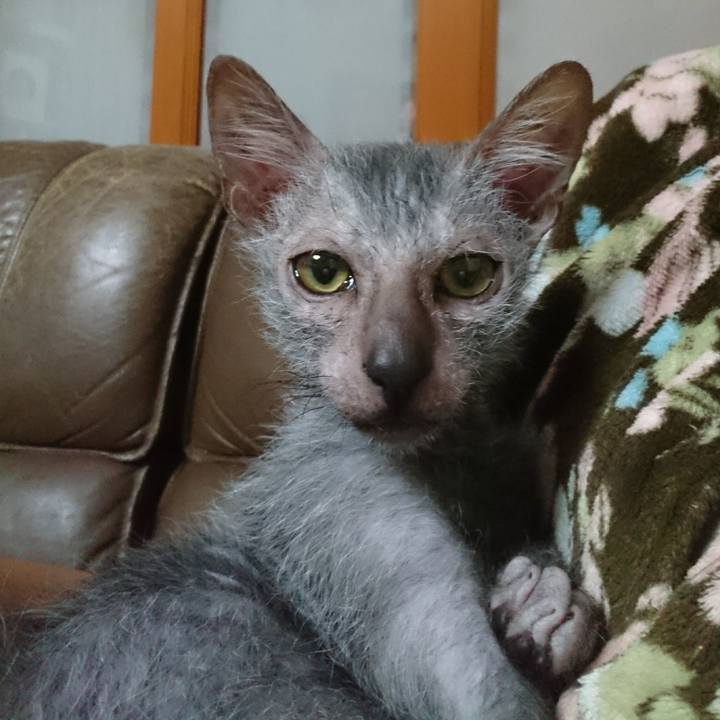 228a542c 4184 4418 9a88 2477e5535287 1515976328657