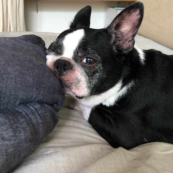 228a9212 1e69 4059 8e6c 7ae1ddc0dfc5 1693527501867