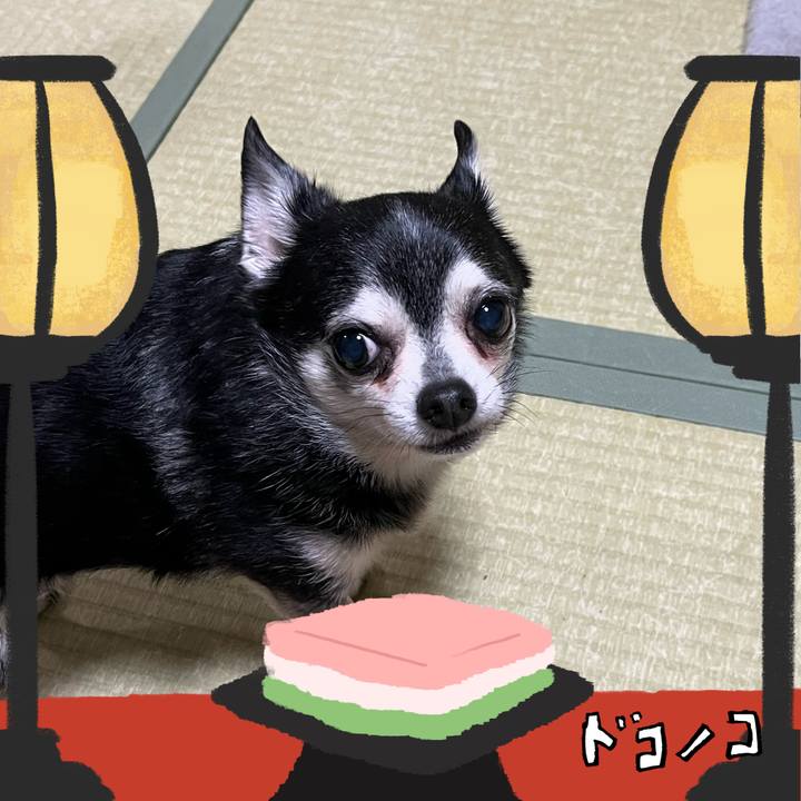 228ab2a7 a873 4048 b2eb 90a0809d1e7f 1741076345207