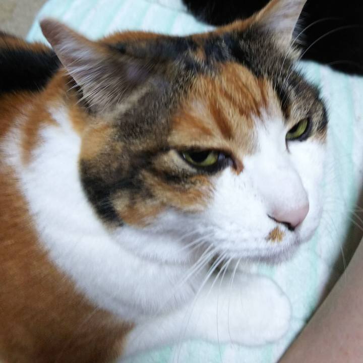 228abb72 c5f8 4811 9774 552f2cda1389 1538430623610