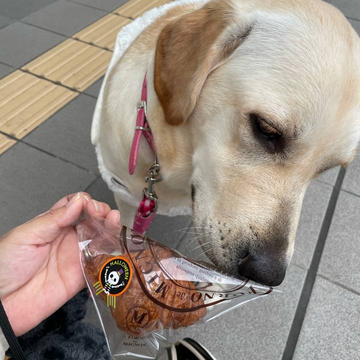 228b034f 5c87 4db4 9640 87cadb7b935d 1635601110266