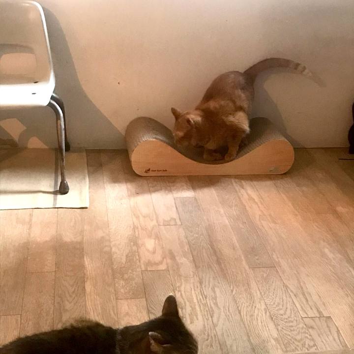 228b1b6b c030 4fff a5d1 ee8484e8559b 1605949096551