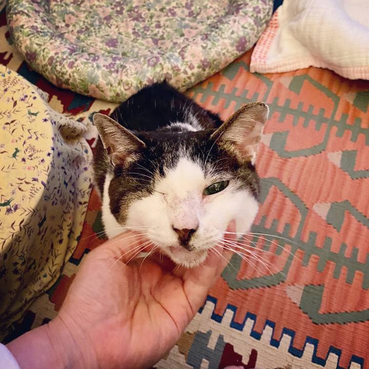 228b251a 69d3 4d96 8e3e f95eabfa4da9 1592836035663