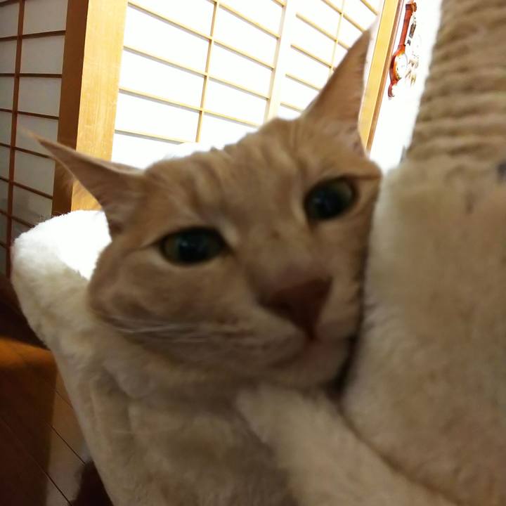 228b6b69 ff4c 4e25 bc3a a9b574e84e57 1588586944303