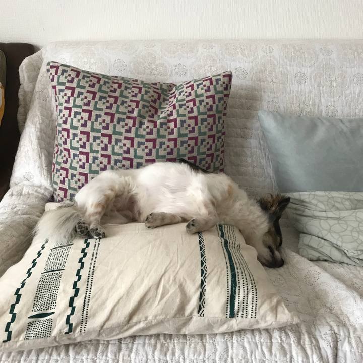 228b844a cbe1 4fd5 82ad 1d82e89364af 1535592263830