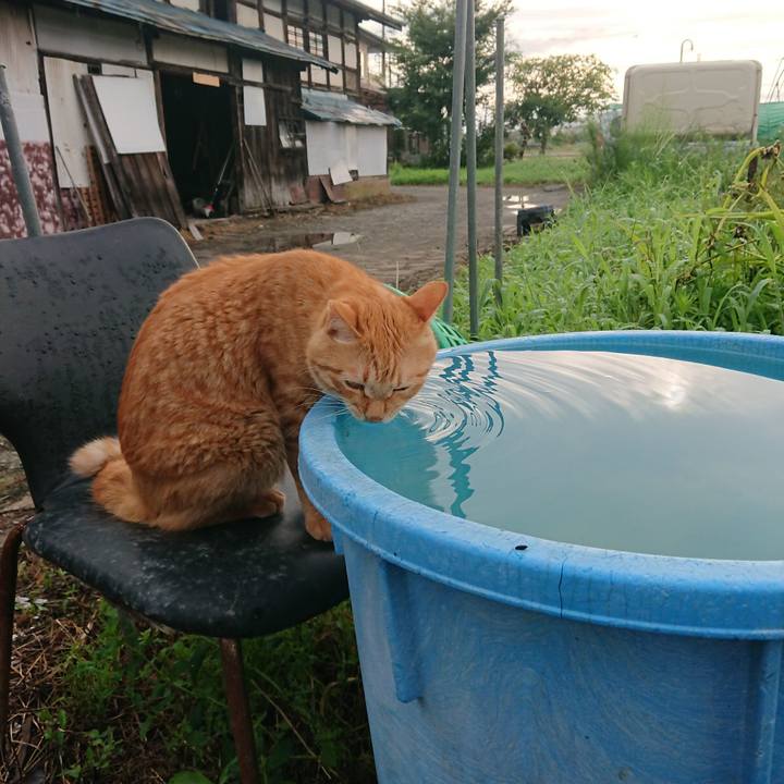 228b966f b35a 47e9 86a8 9dcfb277d2a9 1660515071586