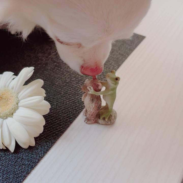 228baaf1 864e 45b5 b860 4e9c47cd83f8 1702986044814