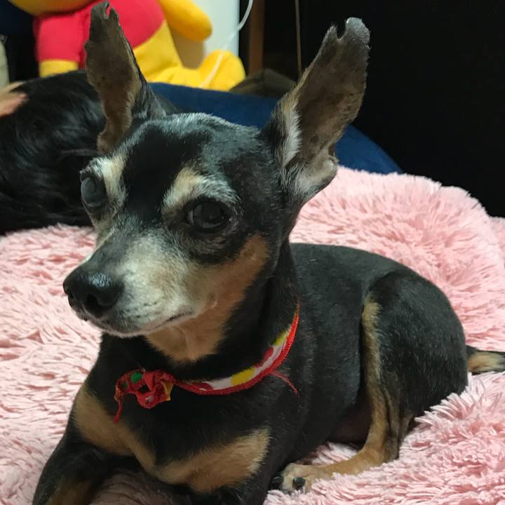 228bab6e 198b 450d 9601 eff58af16f44 1533130906926