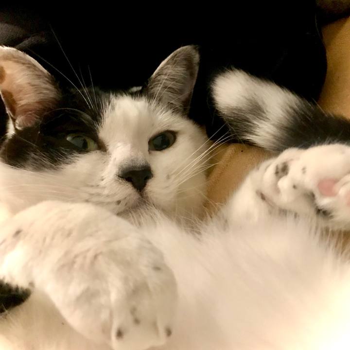 228bb8fc 352b 417d 938a 4b87c1f0201c 1578584721583