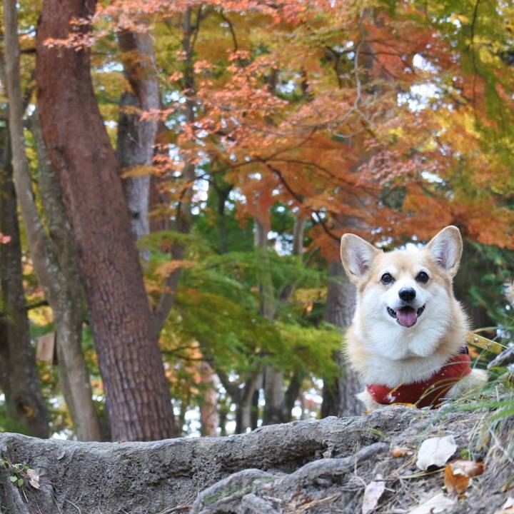 228bccd7 aef4 4752 9230 1b2d8a662175 1731843093943