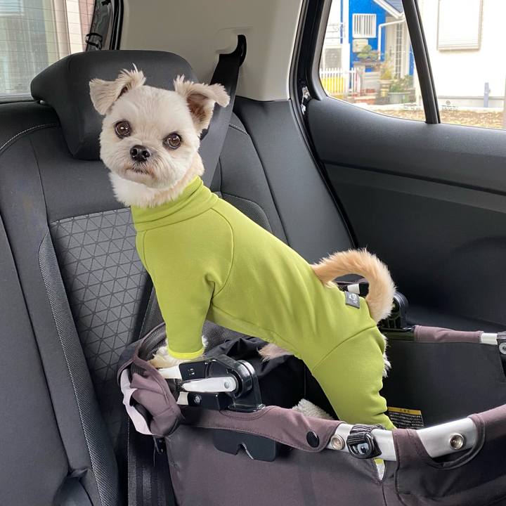 228be21f 5cea 4a3a 8b82 c13badb678b3 1615108638950