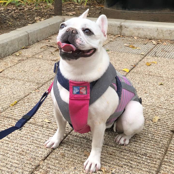 228bef92 ca79 409e 8b49 7d59f6bc8bf5 1605101971084