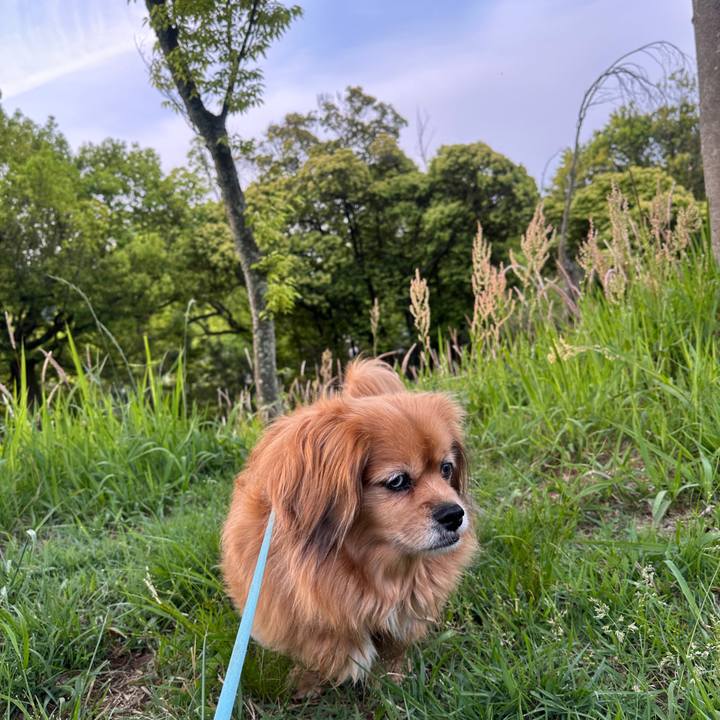 228c0c74 4907 4a09 8eb9 d00e116d2739 1747170307195