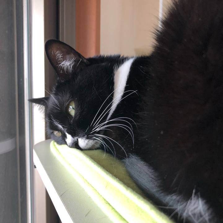 228c2cb6 7dc8 4ae3 ad95 8692bddd0eca 1547609191945