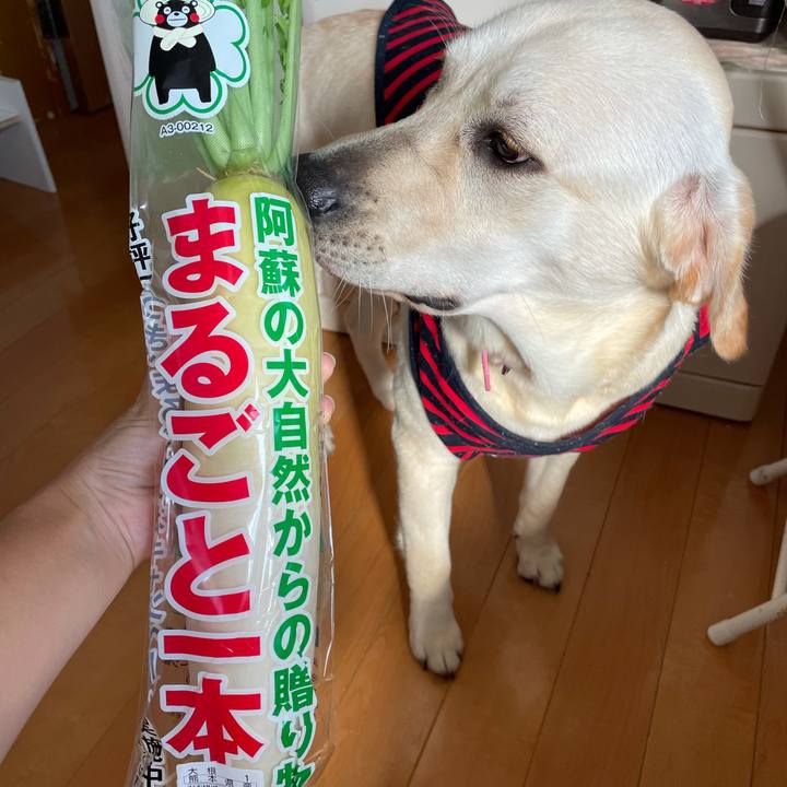 228c4578 f8e8 4a95 8c3c 20e472e5a811 1634191095480