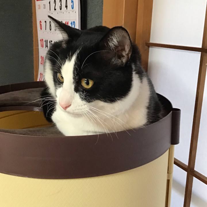 228c4b34 367b 4b74 82d2 7babf1bb22ad 1644013948197