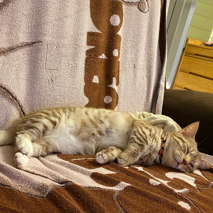 228d2418 84ce 4a76 87bb c9827f9d6a17 1627390585454