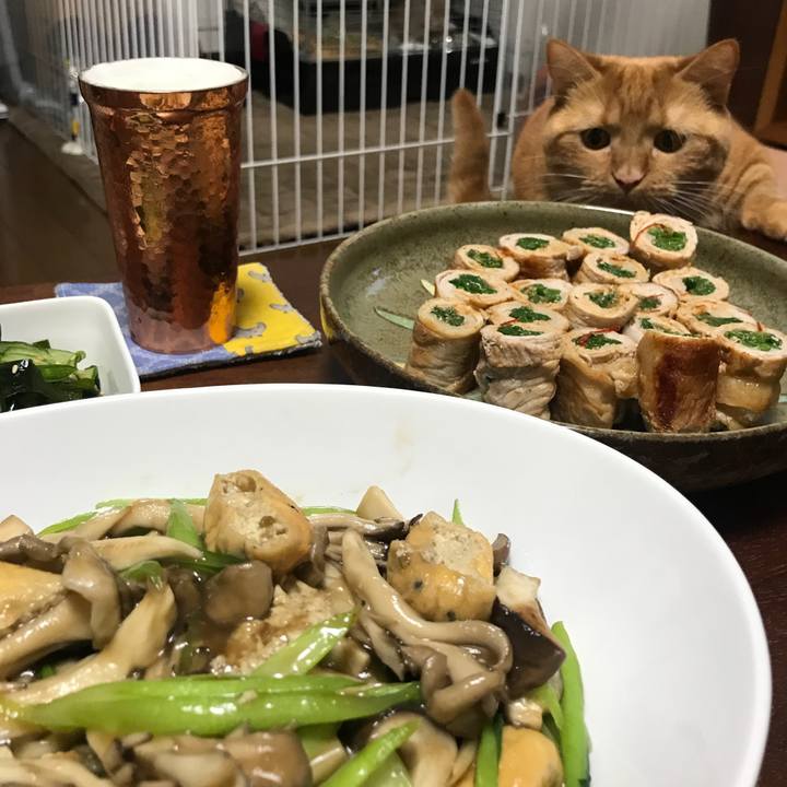 228d37b1 0051 4789 b7d1 0e3bbcaf2ebb 1540207447247