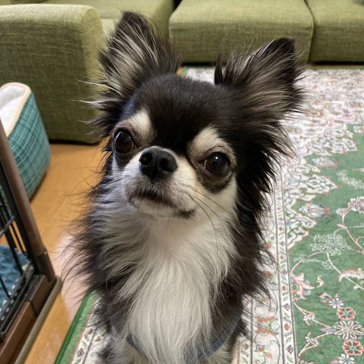 228d54b7 7622 4842 9fd7 dab6b5fb8a73 1665240551929