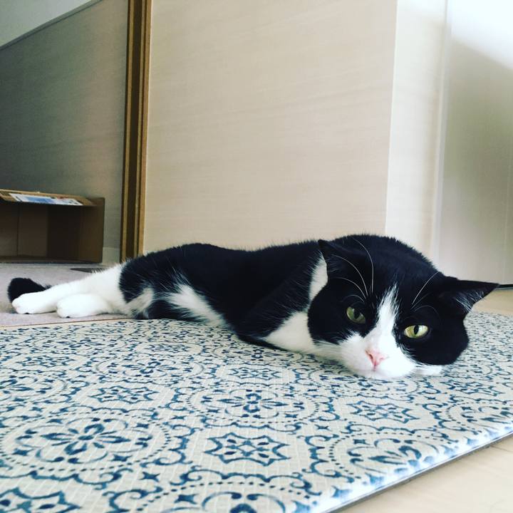 228e283a 8fab 4a93 aa1a 49fcff3bd9fa 1630800511612