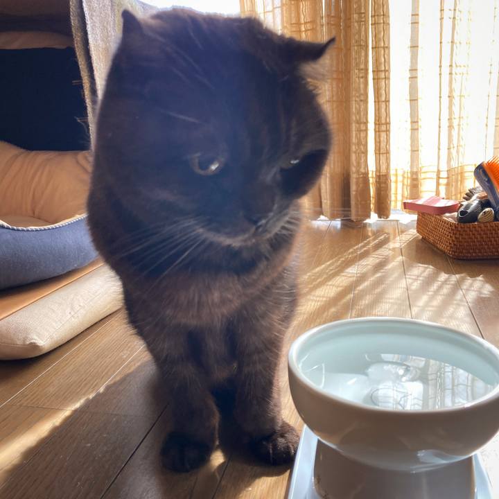 228ea4a7 fc4d 42c4 afab 593db088c6bb 1645070014857