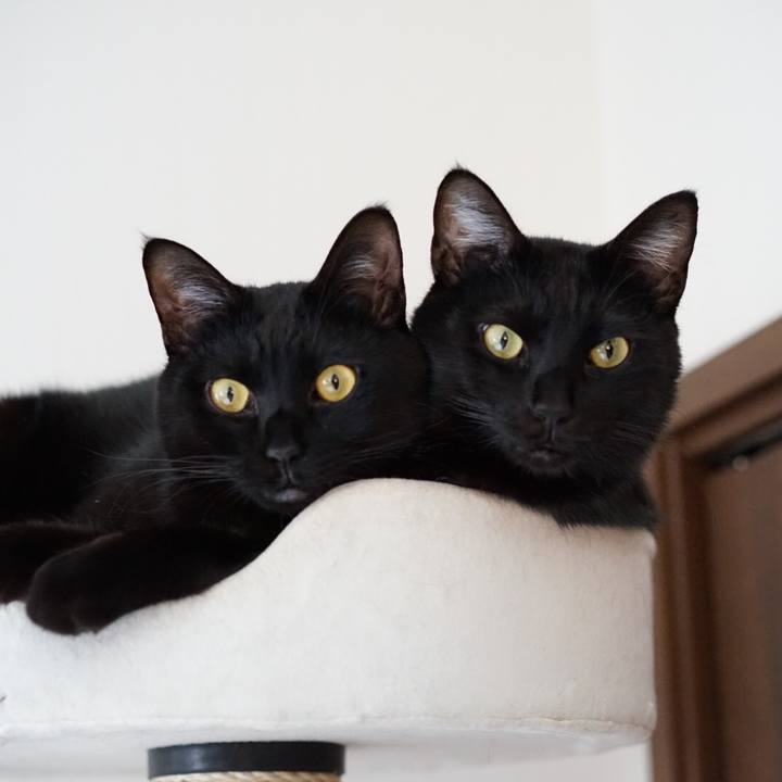 228ea8ba e5a0 4d20 b108 2d3a9f542585 1548311326090