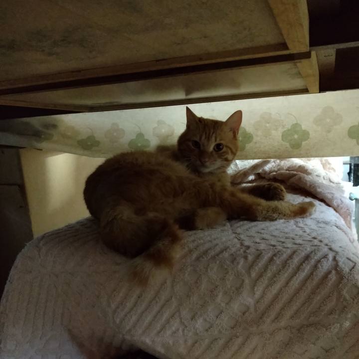 228f1399 02de 48b8 a6d7 869202ecc2d0 1663714005225