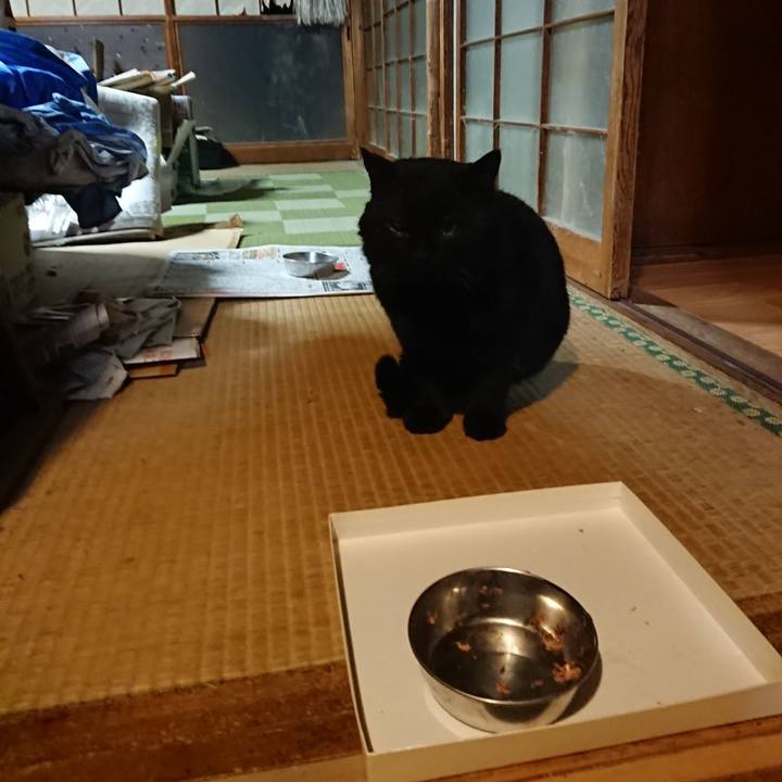 228f312d 5b1d 4c8d 823d 9cd54ddca612 1615028309278