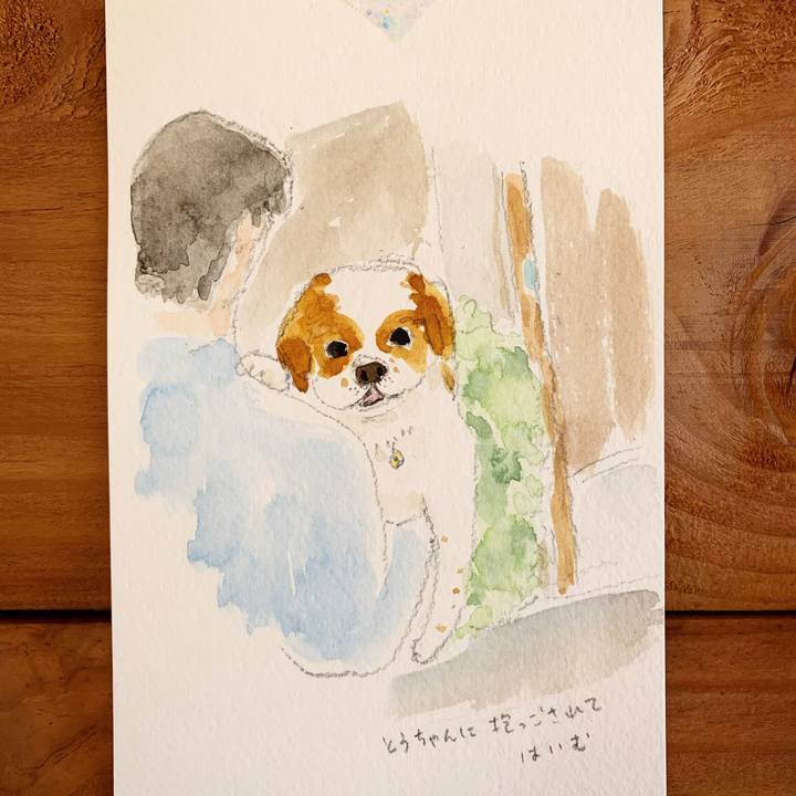 228f60c8 e251 41a9 8705 20a3b3255491 1602813171695