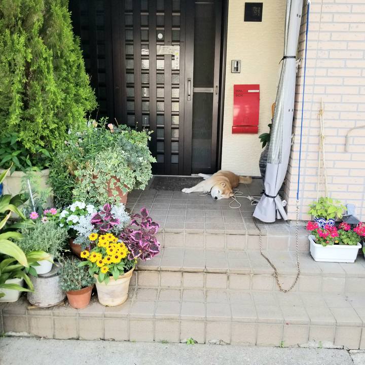 228f81dd d522 4db5 9141 4545ae5ad7fa 1657928395758