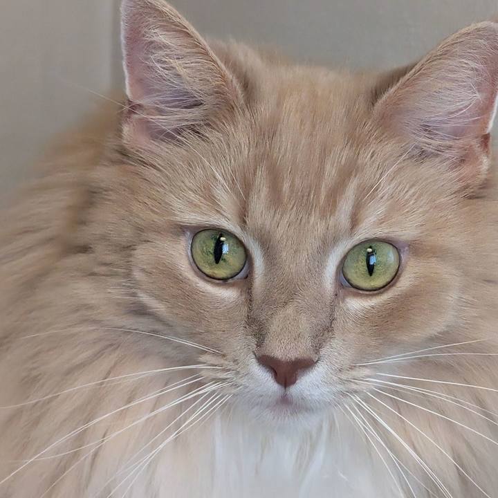 228f9727 4c54 4d01 bab6 de5f0ecfe37c 1726455210823