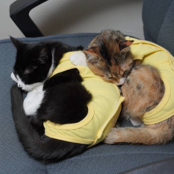 228fda3b 0ca5 45c8 93dc 911b673ef1d9 1579337712916