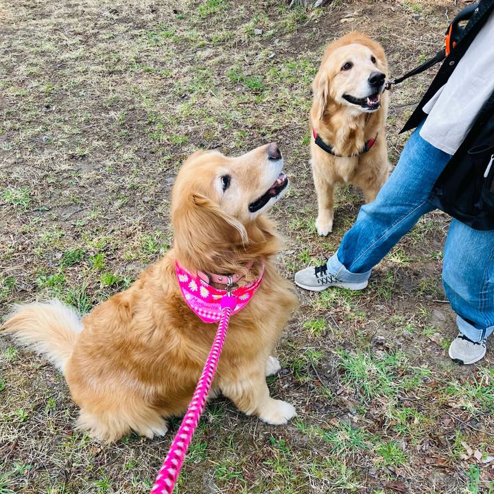 22900347 6246 4b7f b6c0 476677f6318c 1744132799143