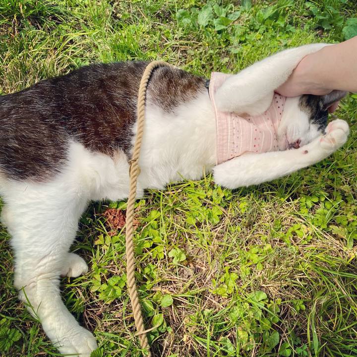 22902bfd c8c1 486f af8f d00ad79d83c9 1623405369938